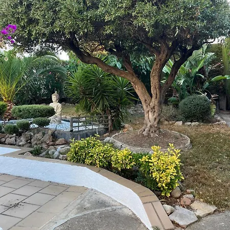 Casa Golondrina Calafat